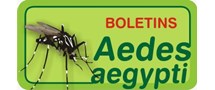 Logomarca - Boletins Aedes aegypit