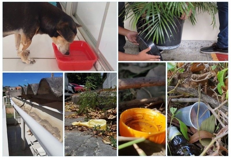 Dengue semana 28