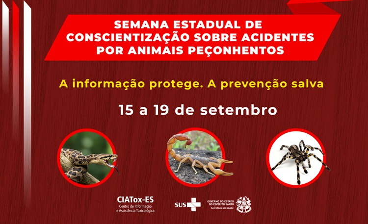 Capa texto