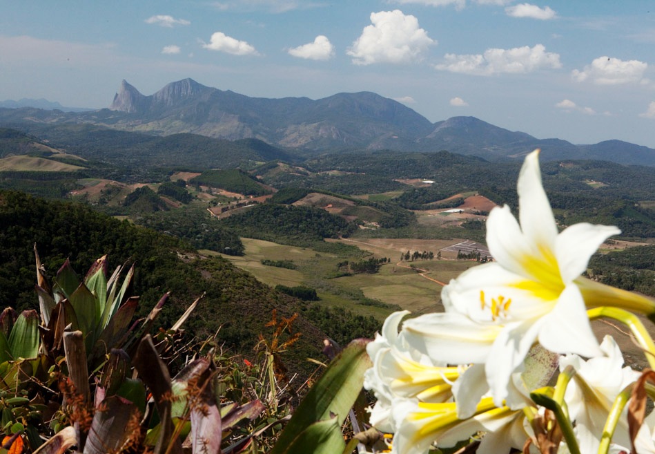 FechamentoParquesEstaduais_FornoGrande_CacaLima