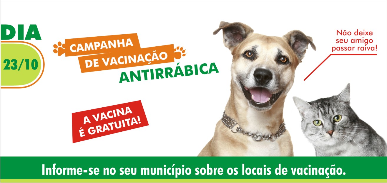 Foto Matéria Dia D