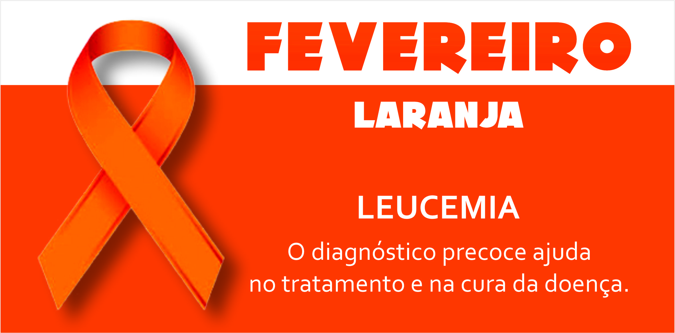 Foto matéria Fevereiro Laranja (1)