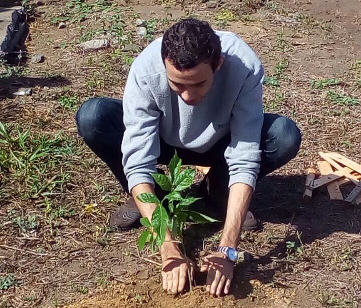 HRAS_Projeto Vida Verde_061017
