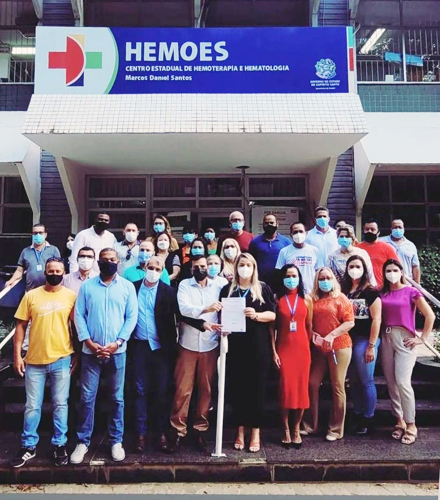 Hemoes capa