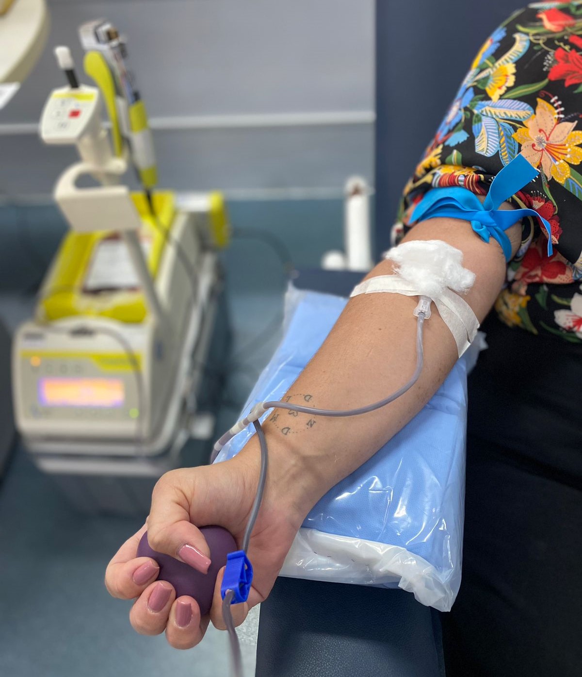 doação sangue